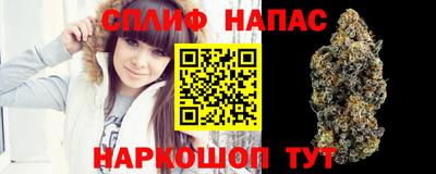apvp Рыбинск