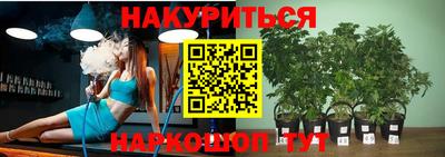 apvp Рыбинск