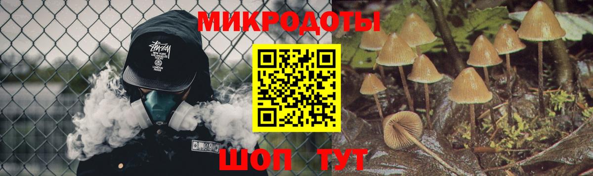 Галлюциногенные грибы мицелий  Вход с VPN  Скопин 